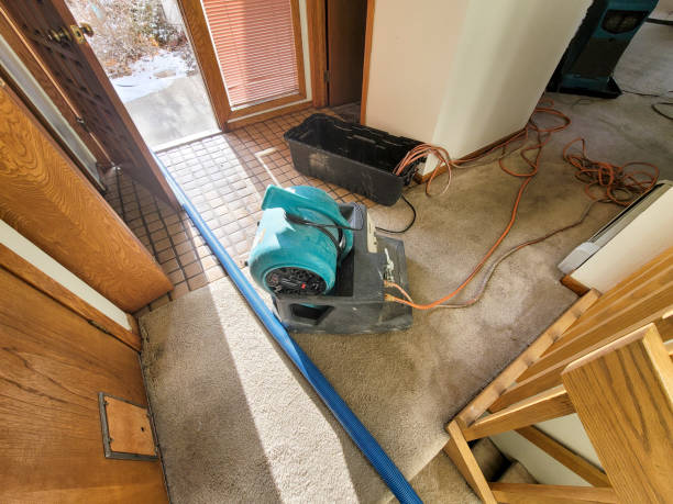 Best Mold removal after water damage  in Porters Neck, NC