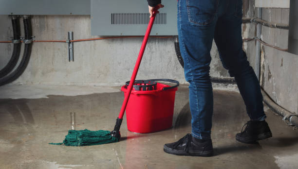 Best Flood damage cleanup  in Porters Neck, NC