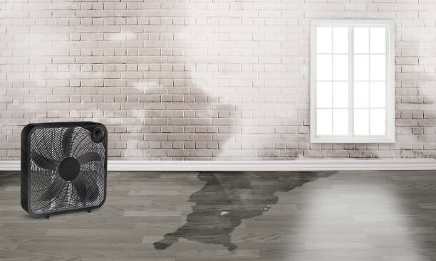 Best Emergency water damage restoration  in Porters Neck, NC