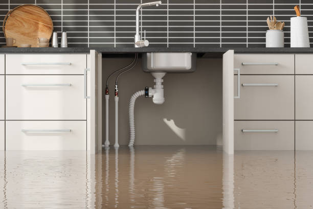 Best Flood damage cleanup  in Porters Neck, NC