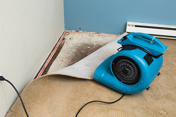 Best Water damage cleanup near me  in Porters Neck, NC
